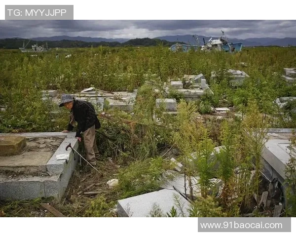 日本足球明星稻田的全名及其在足球界的成就与影响力分析 日本足球明星稻田的全名及其在足球界的成就与影响力分析